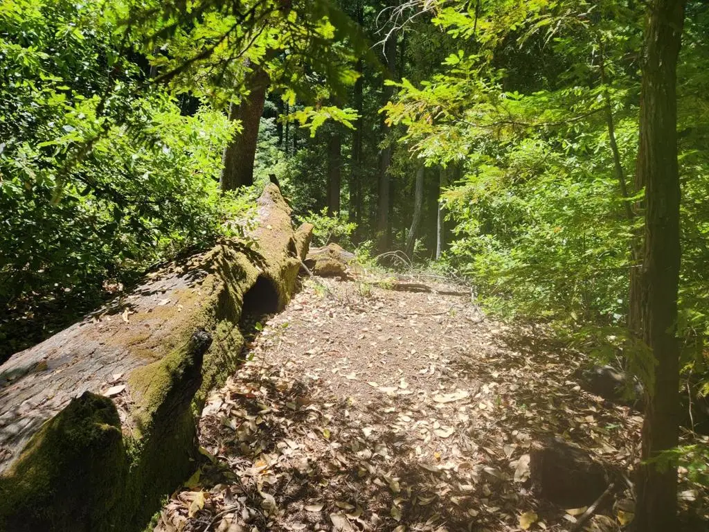 0 Lost Valley Road, Los Gatos, CA 95033 - Image #1