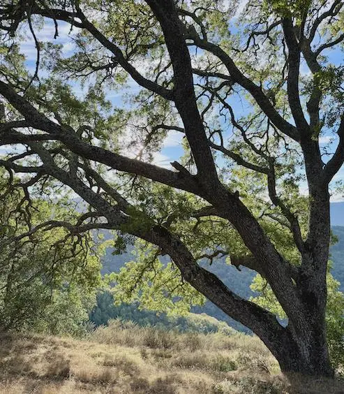 0 Via Vespero, San Jose, CA 95120 - Image #3