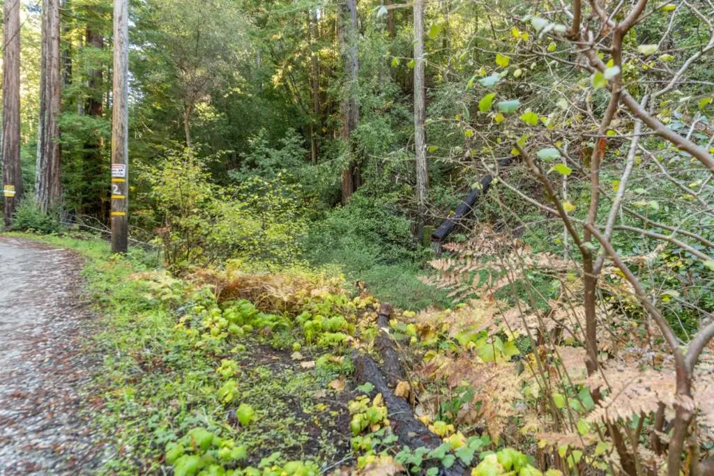 4 Old Mill Avenue, Felton, CA 95018 - Image #1