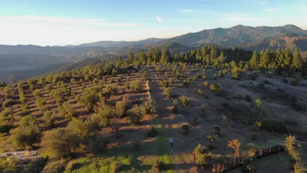 47211 Fox Rock Road, Laytonville, CA 95454