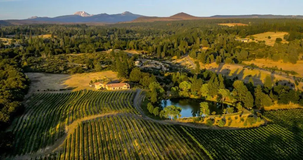 31630 Forward Rd., Manton, CA 96059 - Image #1