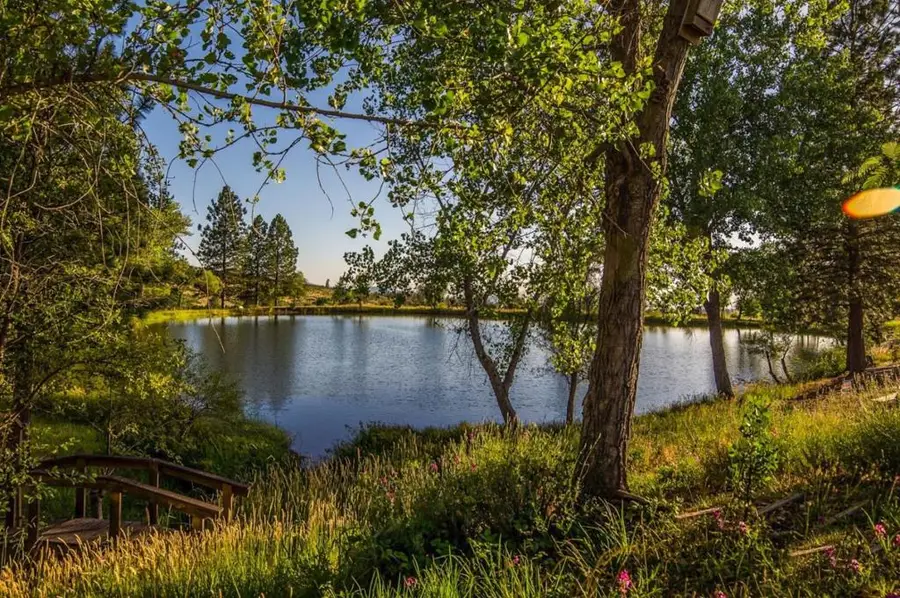 31630 Forward Rd., Manton, CA 96059 - Image #2