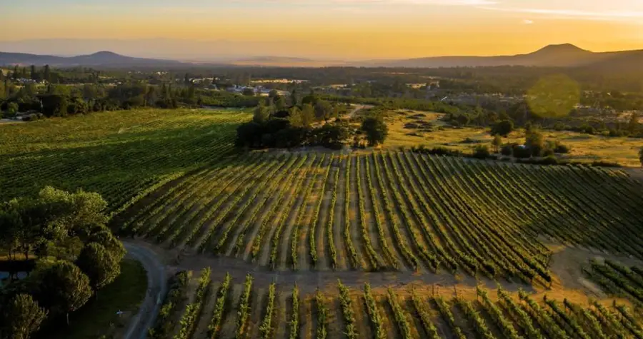 31630 Forward Rd., Manton, CA 96059 - Image #3