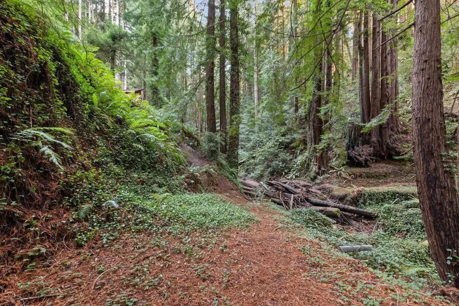 3936 Tunitas Creek Road, Half Moon Bay, CA 94019 - Image #2