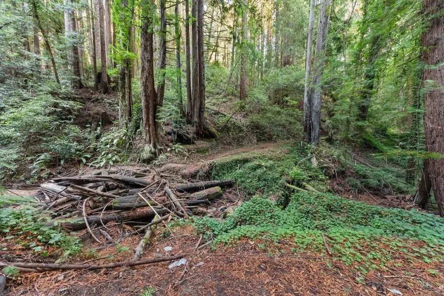 3936 Tunitas Creek Road, Half Moon Bay, CA 94019 - Image #3