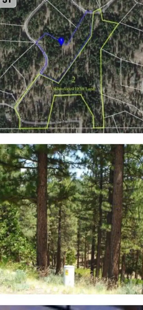 976 Moon Shadow, Portola, CA 96122 - #1