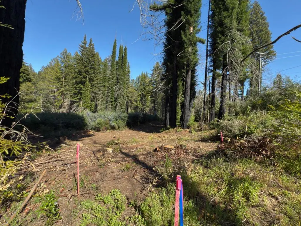 0 Fallen Leaf Drive, Boulder Creek, CA 95006 - #1