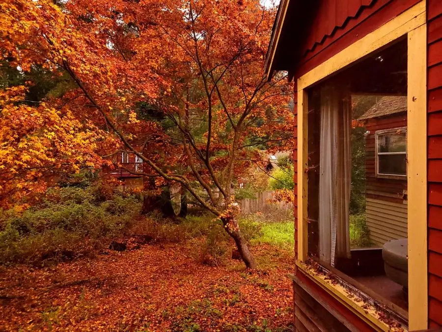 785 Cathedral, Aptos, CA 95003 - #3