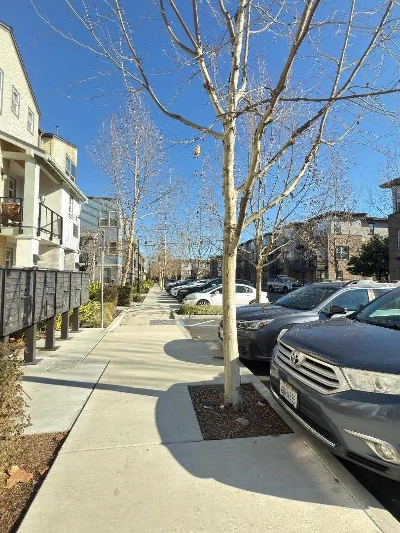 875 Cotati Terrace #5, Sunnyvale, CA 94085 - Image #3