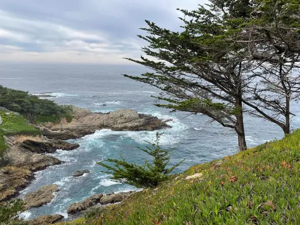 142 Carmel Riviera Drive, Carmel, CA 93923