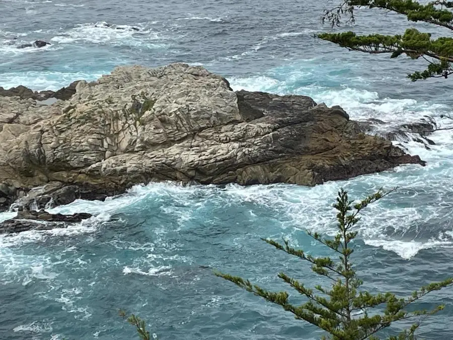 142 Carmel Riviera Drive, Carmel, CA 93923 - #2