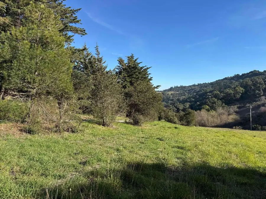 220 Heacox Road, Woodside, CA 94062 - Image #3