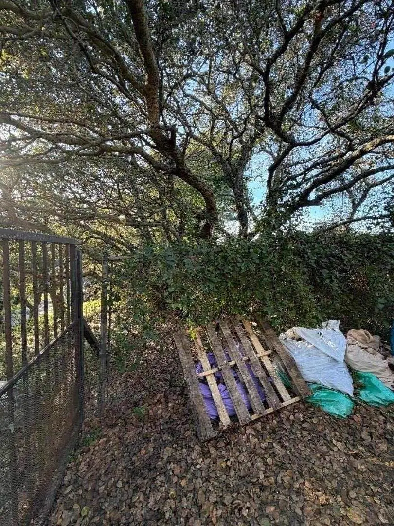 6078 Skyline Drive, El Sobrante, CA 94803 - Image #2