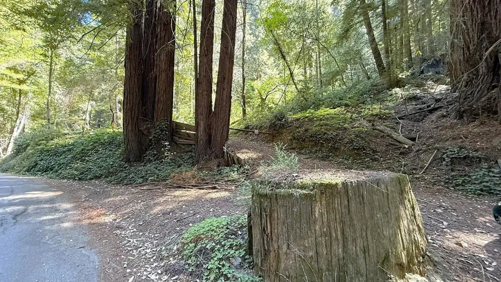 15645 Stetson Road, Los Gatos, CA 95033 - Image #1