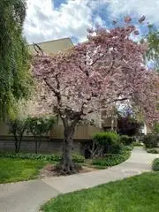 4415 Norwalk Drive #3, San Jose, CA 95129 - Image #2