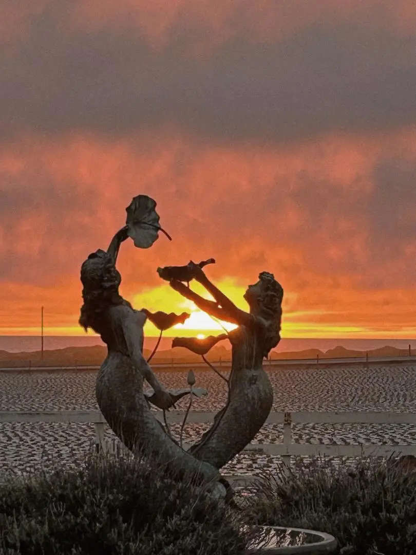 260 Giberson Road, Moss Landing, CA 95039 - #3