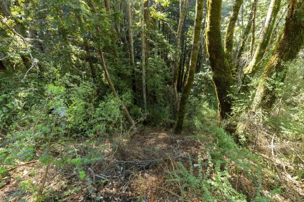 Buckeye Street, Felton, CA 95018 - #1