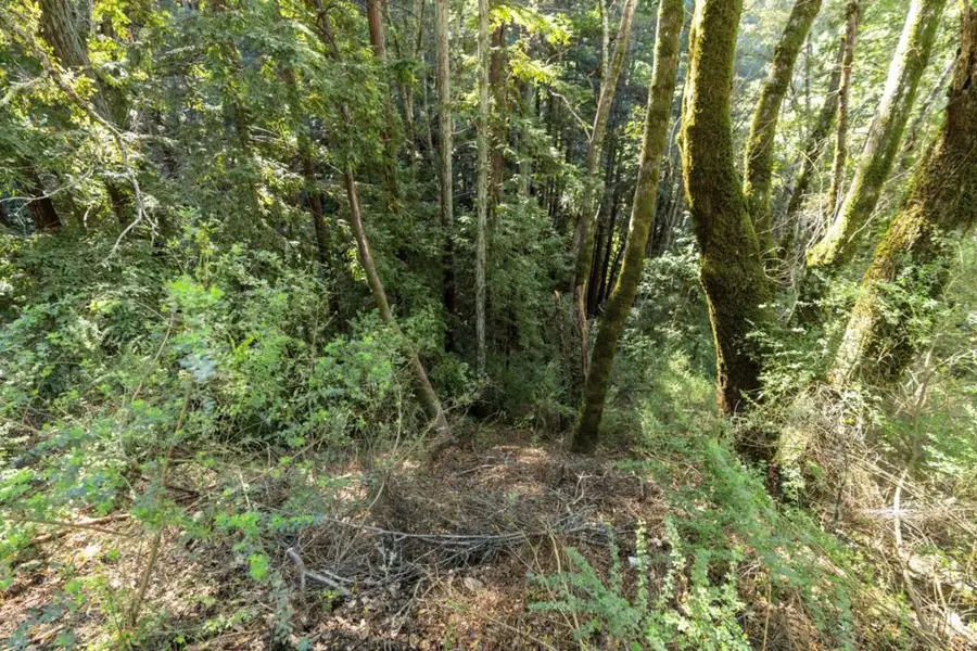 Buckeye Street, Felton, CA 95018 - #2