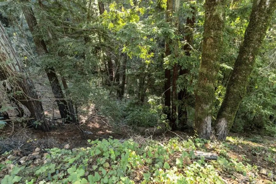 Buckeye Street, Felton, CA 95018 - #3