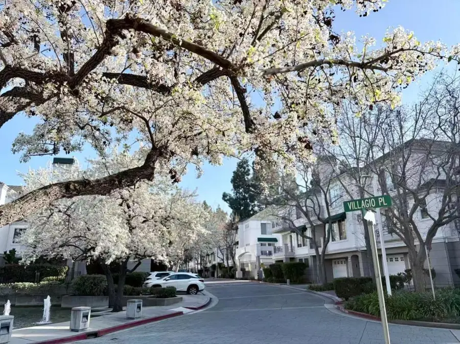 455 Navaro Way #203, San Jose, CA 95134 - #3