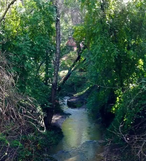 383 Riverview Drive, Boulder Creek, CA 95006 - #3