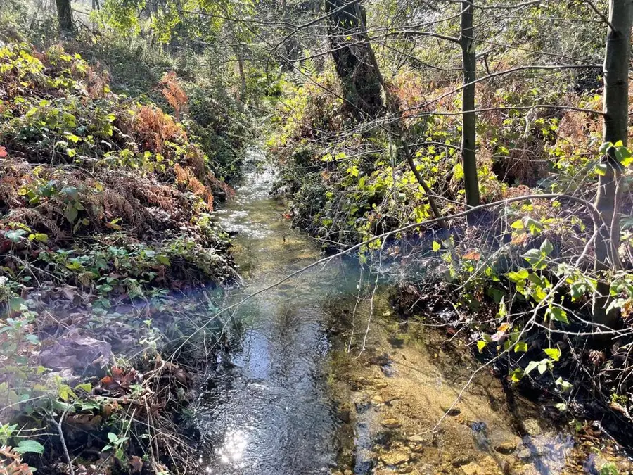 10 Garzas Trail, Carmel, CA 93923 - #2