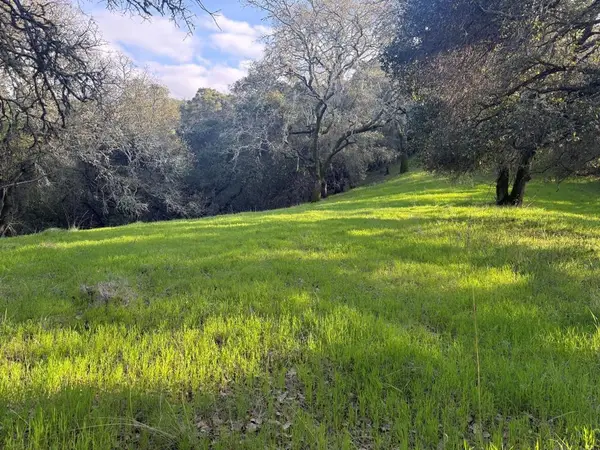 0 Chesbro Lake Drive, Morgan Hill, CA 95037