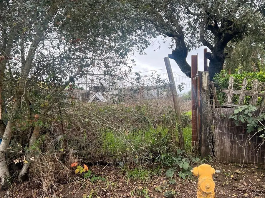 32 Crow Avenue, Watsonville, CA 95076 - #2