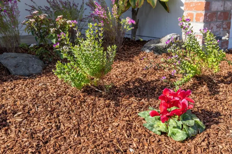 34373 Auckland Court, Fremont, CA 94555 - #2