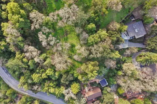 145 Foxwood Road Road, Portola Valley, CA 94028