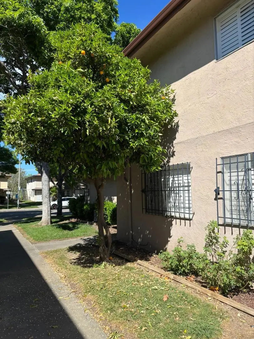 2205 Lemontree Way #3, Antioch, CA 94509 - #2