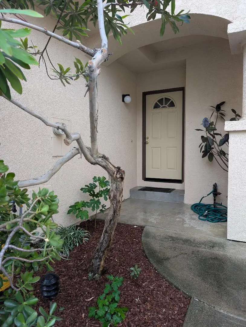 62 Washington Square Drive, Milpitas, CA 95035 - #2
