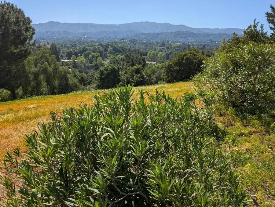 0 Ruth Lee Court, Los Altos, CA 94024 - #2