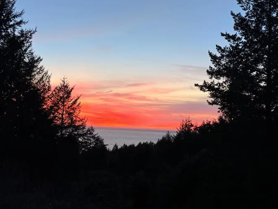 520 Redwood Road, Whitethorn, CA 95589 - #2