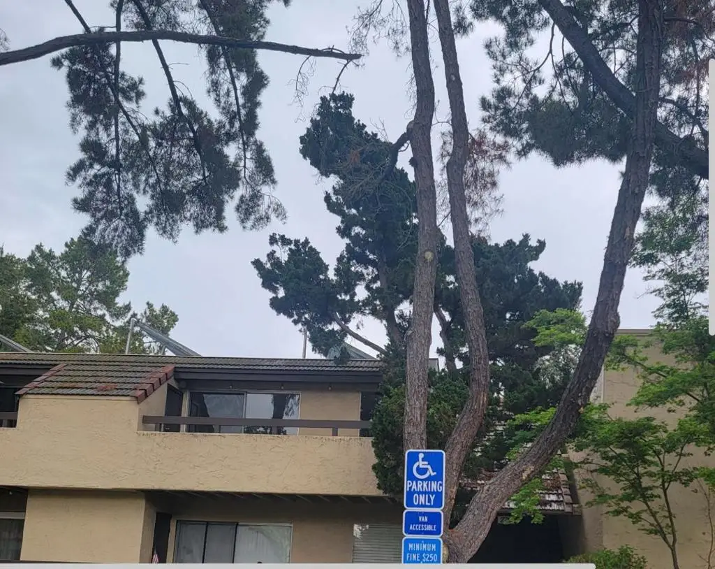 279 Tradewinds Drive #6, San Jose, CA 95123 - #1