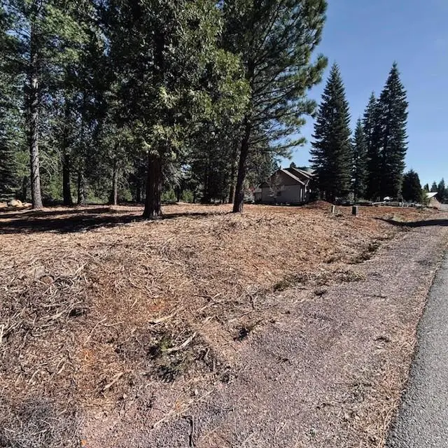 742 Red River Drive, Lake Almanor, CA 96137 - #1