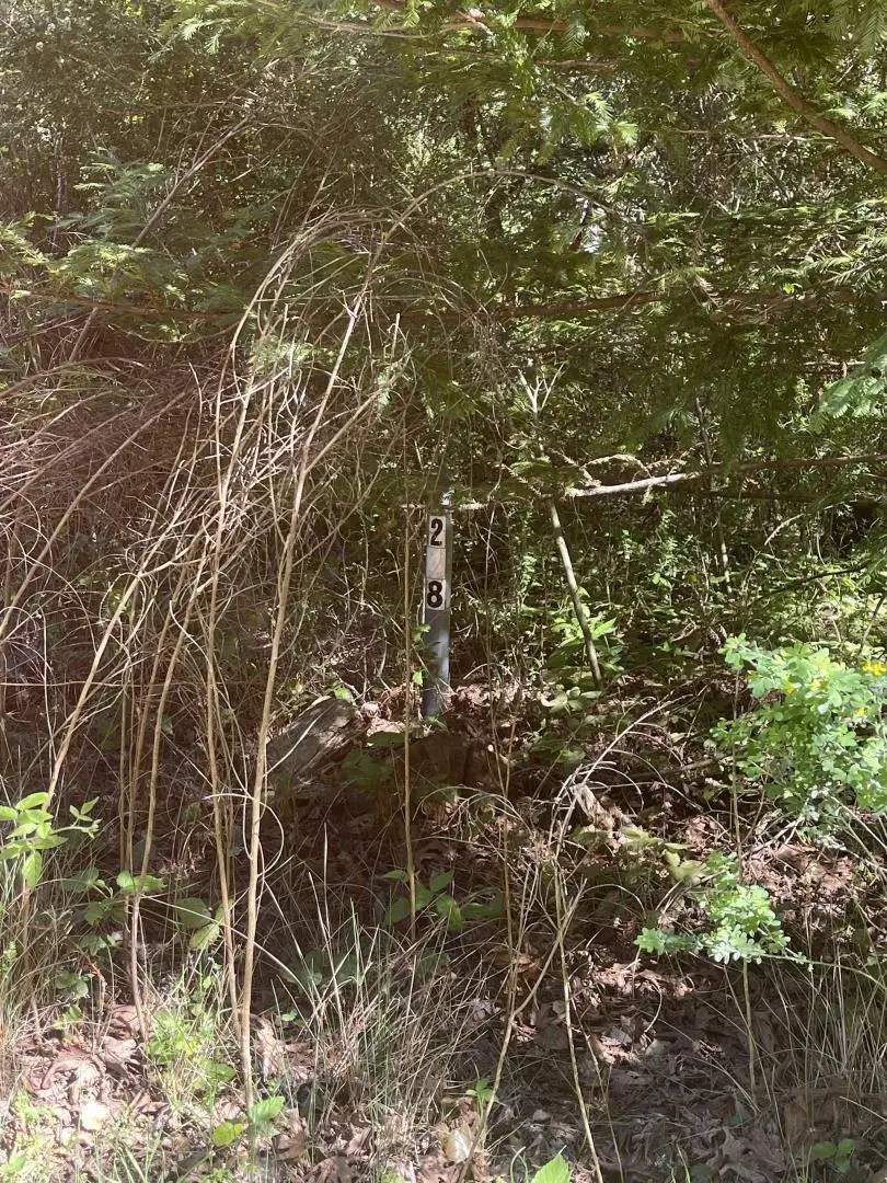 Address Withheld By Seller, Los Gatos, CA 95033 - #1