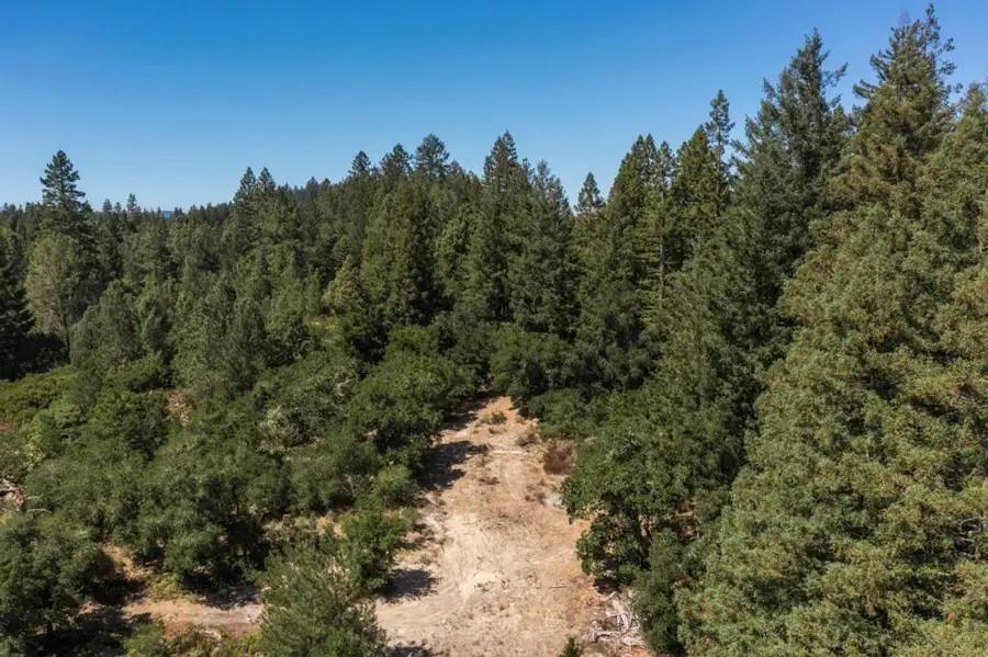 225 Santa Cruz Street, Boulder Creek, CA 95006 - #2