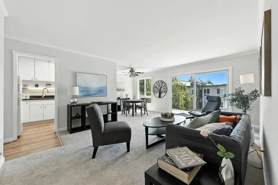 932 Peninsula Avenue #406, San Mateo, CA 94401 - #3