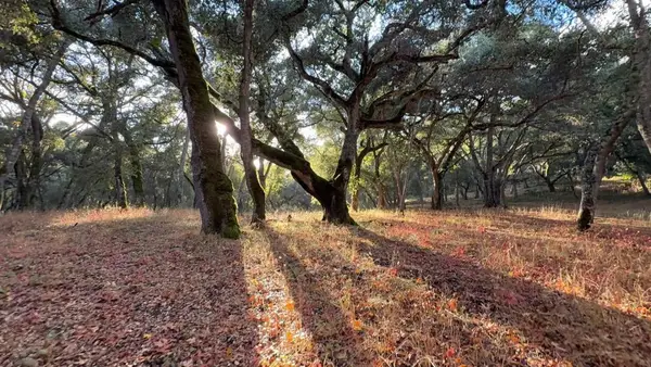 9 Garzas (lot 49) Trail, Carmel, CA 93923
