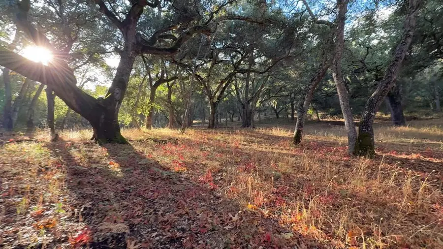 9 Garzas (lot 49) Trail, Carmel, CA 93923 - #3