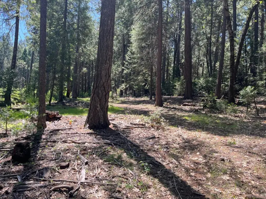 Address Withheld By Seller, Nevada City, CA 95959 - #1