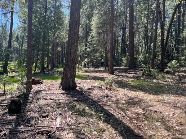 Address Withheld By Seller, Nevada City, CA 95959