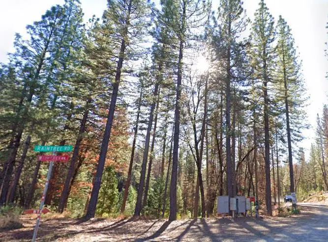 7331 Wentworth, Georgetown, CA 95634 - #1