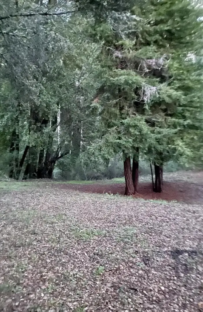 0 Long Branch Road, Los Gatos, CA 95033 - #1