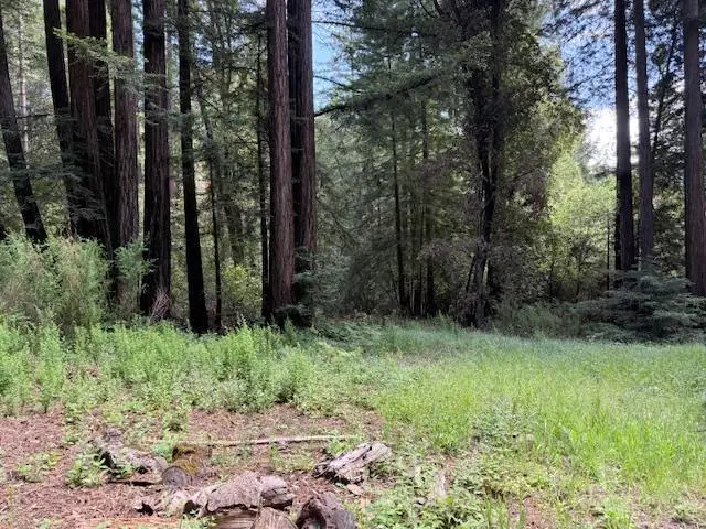 1701 Felton Quarry Rd., Felton, CA 95018 - #1