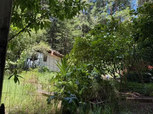 1701 Felton Quarry Rd., Felton, CA 95018 - #3