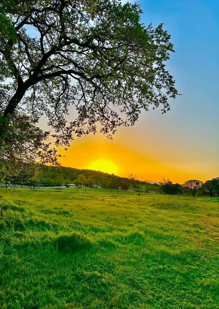 159 Albright Court, Angels Camp, CA 95222 - #3