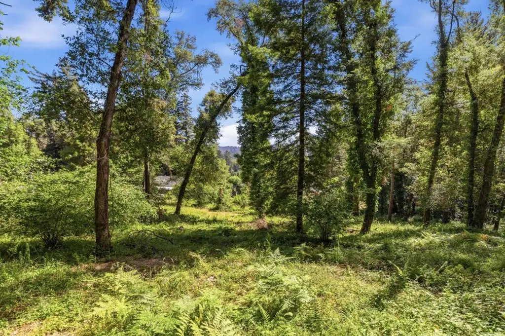 0 Garfield Way, Felton, CA 95018 - #1