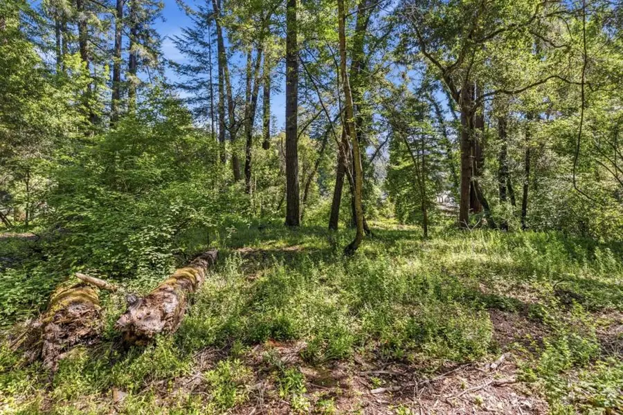 0 Garfield Way, Felton, CA 95018 - #2